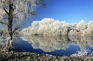 Saale: Cold winter day at the river Saale, trees covered
