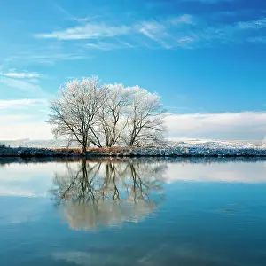 Saale: Cold winter day at the river Saale, trees covered