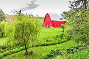 Wilson: Colfax, Washington State, USA. A red barn on a farm