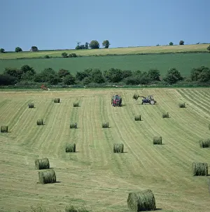 Gloucester: Collecting bales of silage