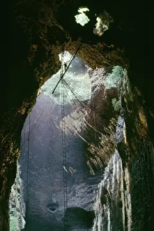 Swifts: Collecting Black-nest Swiftlets Nests - edible
