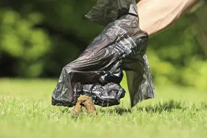 Pick: Collecting dog excrement with a plastic bag France