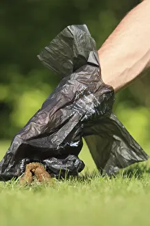 Pick: Collecting dog excrement with a plastic bag France