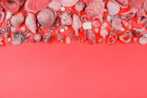 Sale: Collection seashells coral background