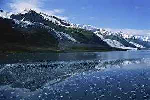 Terminal: College Fjord