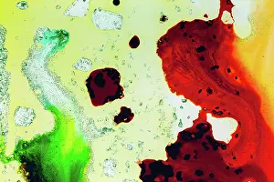 Zandria: Color abstract