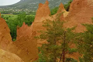 Provencal: Colorado Provencal