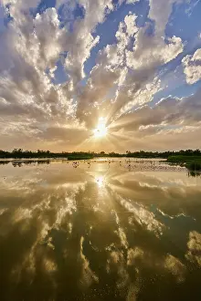 Camargue: Colored Clouds above a lake with greater Flamingo