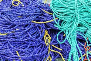 Rope: Colored rope on dock at Fisherman's Cove, Eastern Passage