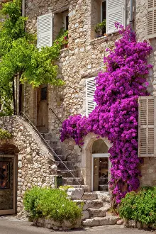 Step: Colorful flowers and staircase lead to home