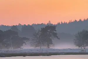 Utrechtse: Colorful sky over a winter landscape after sunset