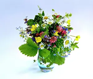 Varied: A colourful bouquet of wild flowers