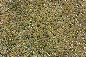 Overflow: Colourful bubbles in the standing water of a shallow