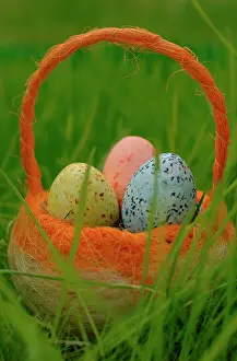 Differing: Colourful Easter eggs in a basket in a meadow