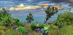 Lava: Colourful garden with a view of the sea and a cloudy