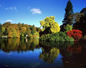 Wiltshire: Colourful Trees and Lake