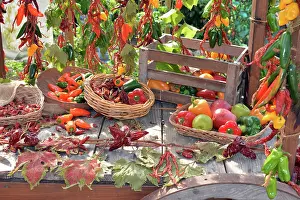 Peppers: Colourful vegetables/ fruits, mostly peppers