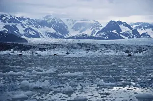 Chunks: Columbia Glacier