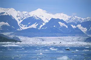Chunks: Columbia Glacier
