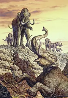 Mammoth: Columbian Mammoth