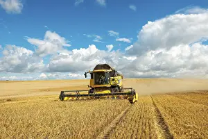 Vehicles: Combine harvester harvesting barley