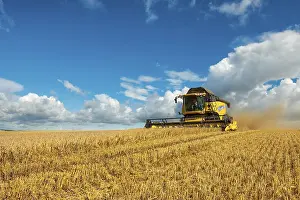 Vehicles: Combine harvester harvesting barley