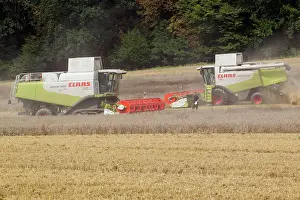 Tractors: Combine Harvester - two harvesting corn