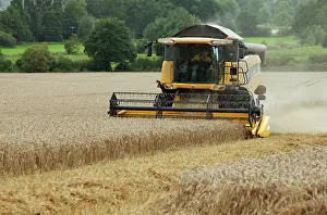 Machinery: Combine Harvester - harvesting in wheat field