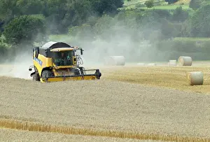 Machinery: Combine Harvester - harvesting in wheat field