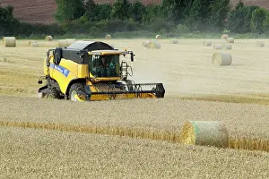Machinery: Combine Harvester - harvesting in wheat field