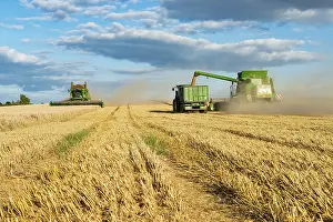 Unloading: Combine harvester harvesting wheat and unloading grain onto tractor with trailer