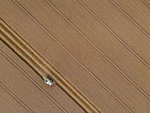 Wheat: A combine harvester harvests a grain field near