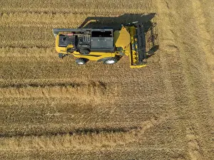 Grain: Combine harvester parked in cornfield, Coljinsplaat