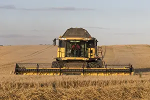Machinery: Combine harvester at work - Sweden