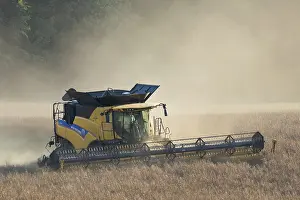Harvesting: Combine harvester at work - Sweden