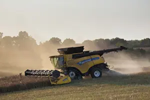 Harvesting: Combine harvester at work - Sweden