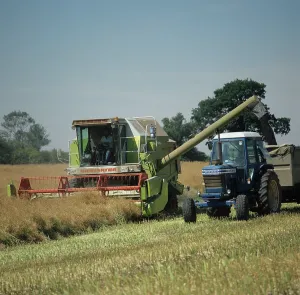 Trailer: Combine harvesting oilseed rape