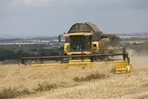 Harvesters: Combine harvesting in the village of Stanton