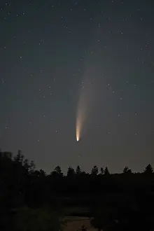 Comet: Comet NEOWISE, July 2020