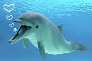 Speaking: Common Bottlenose Dolphin, with mouth open, underwater with