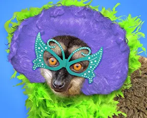Wigs: Common Brown Lemur with glasses hair and feather