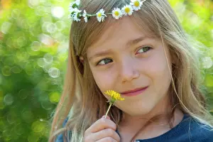Officinale: Common Dandelion