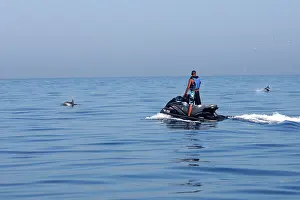 Gilbraltar: Common Dolphin - swimming with Jet ski in the strait
