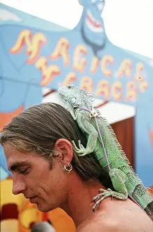 Owner: Common / Green IGUANA - Pet iguana with owner