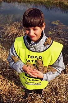 Rescued: Common TOAD - boy carrying many toads, which have