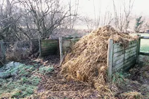 Elizabeth Bomford: COMPOST HEAP