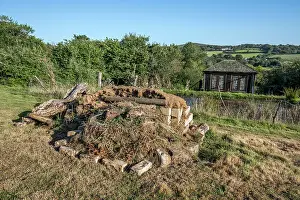 Compost: Compost Heap - Pond - UK