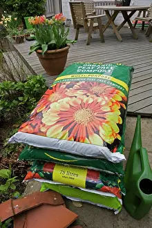 Compost: Compost - large bags of peat free multipurpose