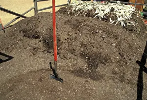 Compost: Compost Pile