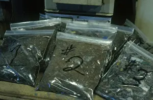 Quality: Compost Samples